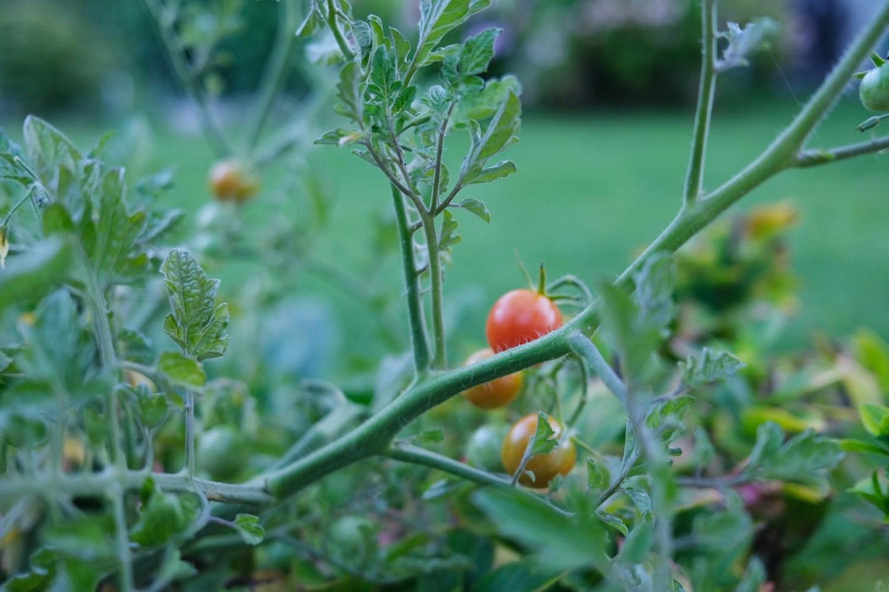 فيلا La Petite Grange فيلرز سور اولون المظهر الخارجي الصورة