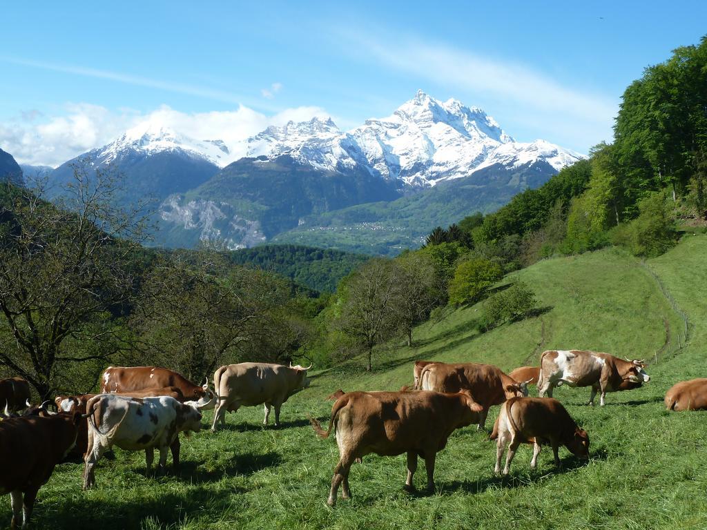 فيلا La Petite Grange فيلرز سور اولون المظهر الخارجي الصورة
